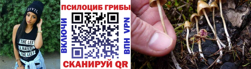 Галлюциногенные грибы мицелий  где продают   Кыштым 